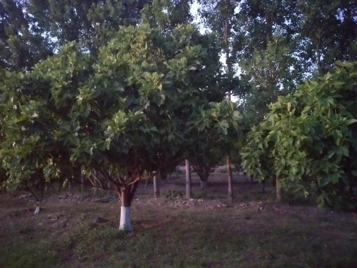Finca La Julia Luyaba Eksteriør bilde