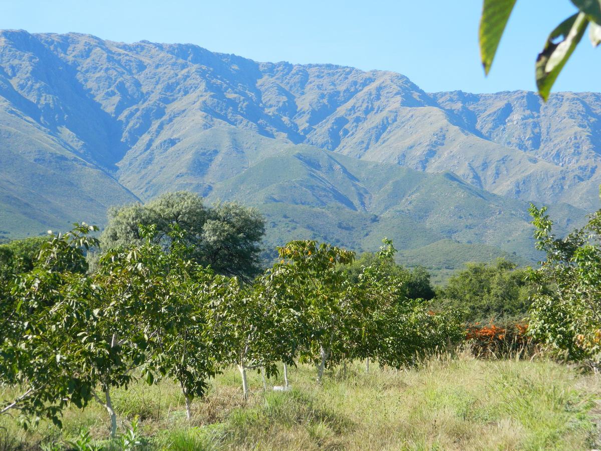 Finca La Julia Luyaba Eksteriør bilde